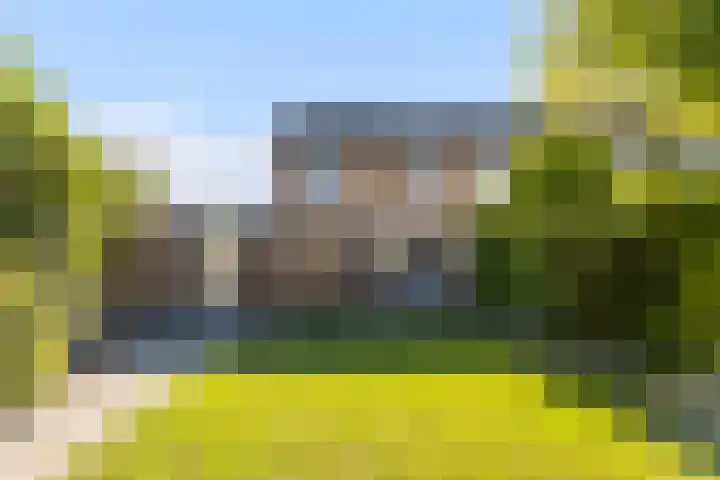 Hemdijk 26 Sneek thumbnail 4