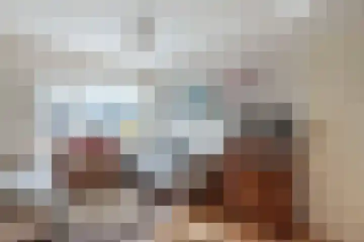 Hemdijk 55 Sneek thumbnail 17