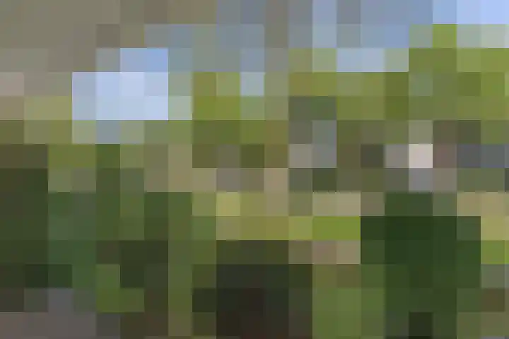 Hemdijk 55 Sneek thumbnail 4