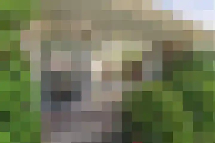 Hemdijk 55 Sneek thumbnail 6