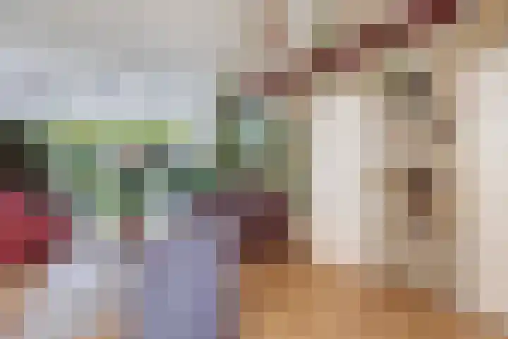 Hemdijk 55 Sneek thumbnail 8