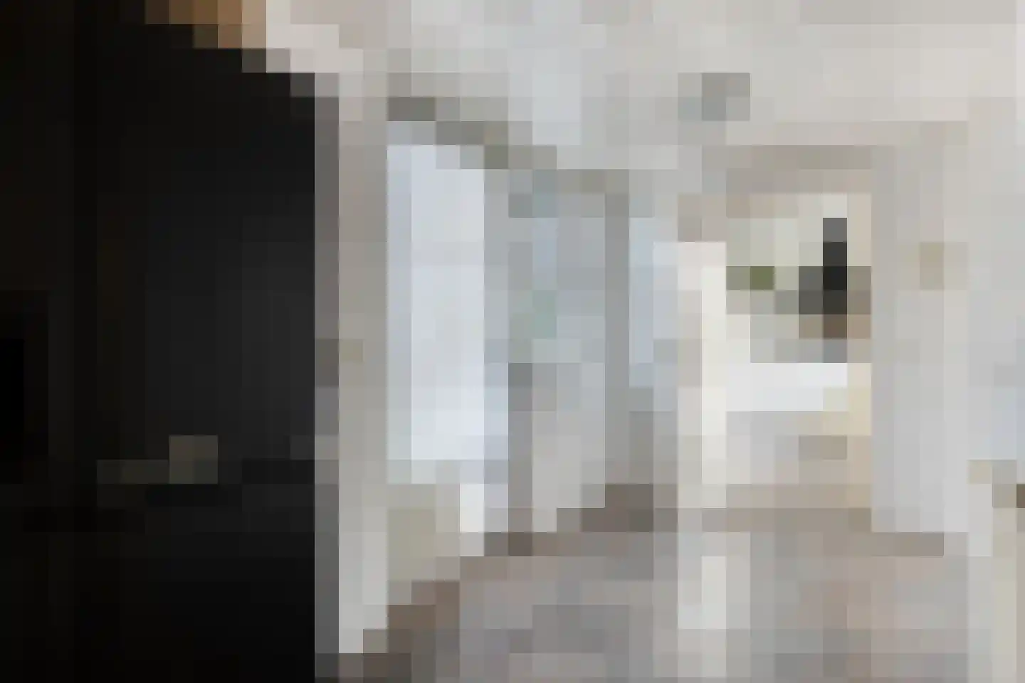 Hemelberg 60 Asten thumbnail 20