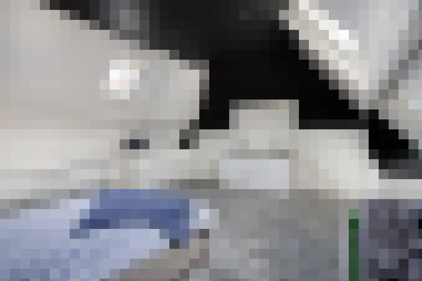 Hemelberg 60 Asten thumbnail 45