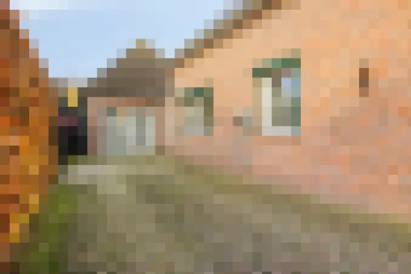 Hemelberg 60 Asten thumbnail 61