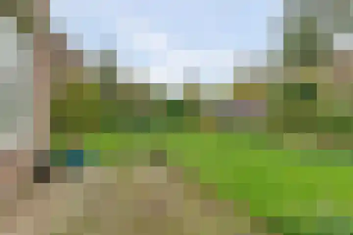 Hemelrijk 25 Elst thumbnail 26