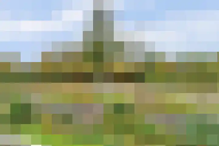 Hemelrijk 25 Elst thumbnail 29