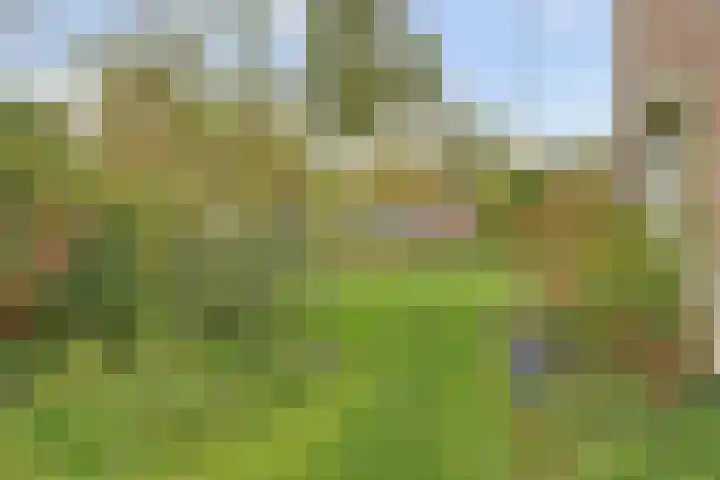 Hemelrijk 25 Elst thumbnail 30