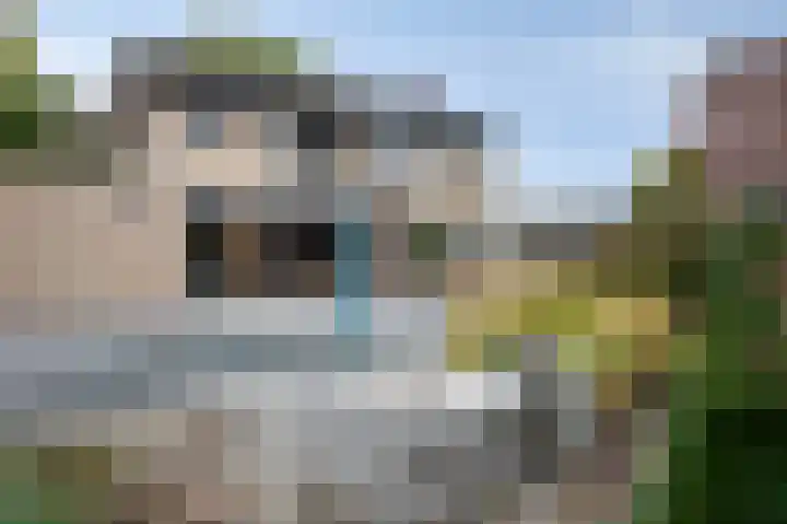 Hemelsley 262 Sittard thumbnail 17