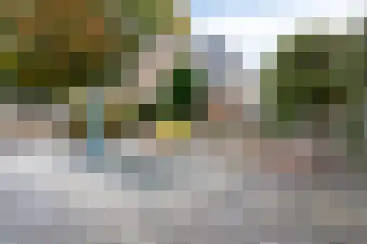 Hemelsley 262 Sittard thumbnail 18