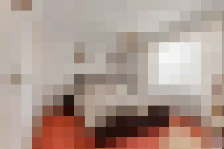Hemiksemstraat 21 Oudenbosch thumbnail 13