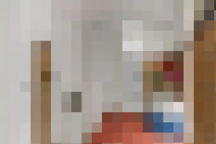 Hemiksemstraat 21 Oudenbosch thumbnail 14