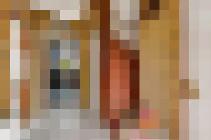 Hemiksemstraat 21 Oudenbosch thumbnail 6