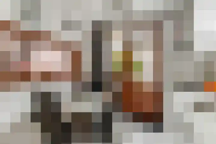 Hemiksemstraat 21 Oudenbosch thumbnail 8