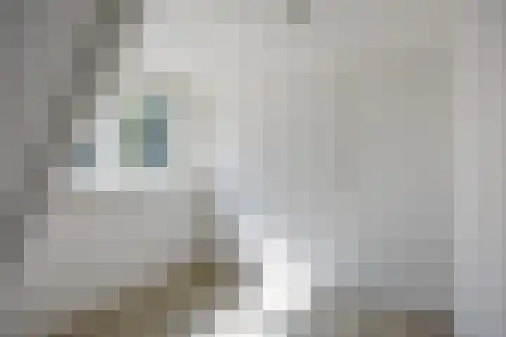 Hemmemaplein 11 Berltsum thumbnail 23