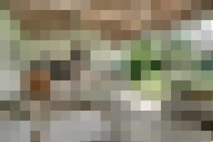 Hemmerbuurt 138 Hem thumbnail 70