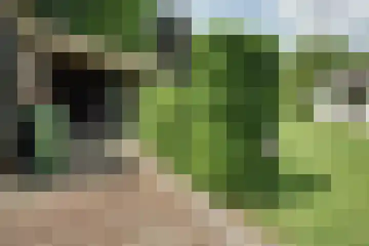 Hemmerbuurt 138 Hem thumbnail 72