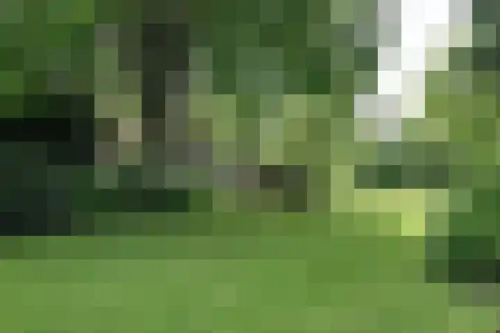 Hemmerbuurt 138 Hem thumbnail 75