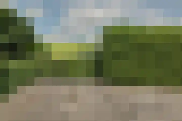 Hemmerbuurt 138 Hem thumbnail 77