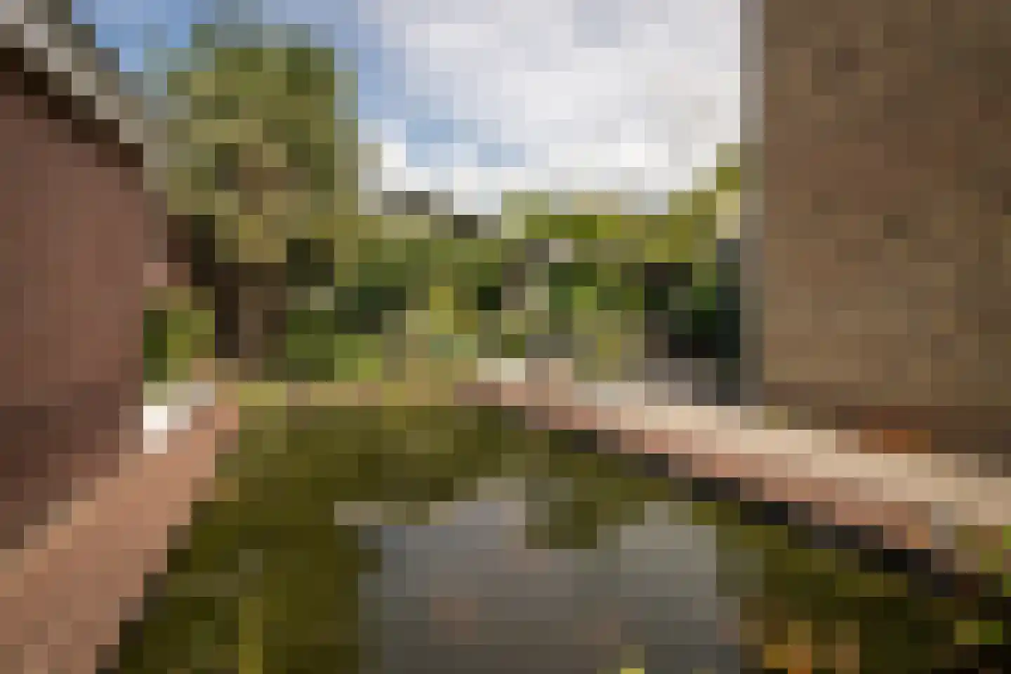 Hemmerbuurt 46 Hem thumbnail 31