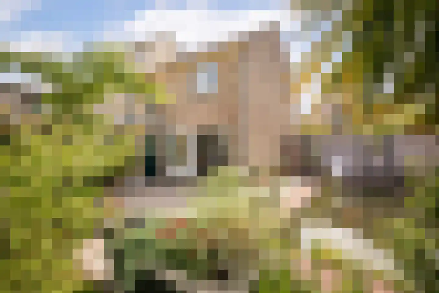 Hemmerbuurt 46 Hem thumbnail 35