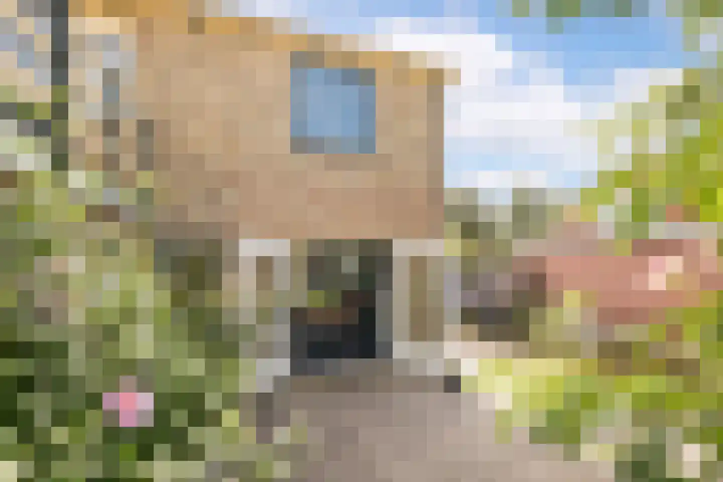 Hemmerbuurt 46 Hem thumbnail 37