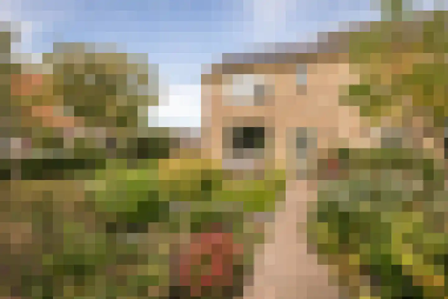 Hemmerbuurt 46 Hem thumbnail 39