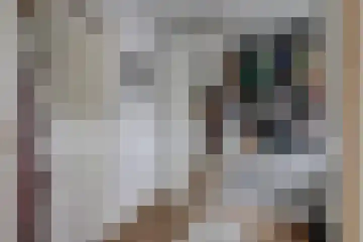 Hemonylaan 10 Arnhem thumbnail 17