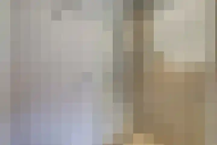 Hemonylaan 10 Arnhem thumbnail 22