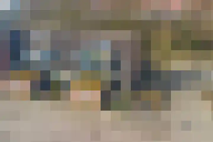 Hemonylaan 10 Arnhem thumbnail 26