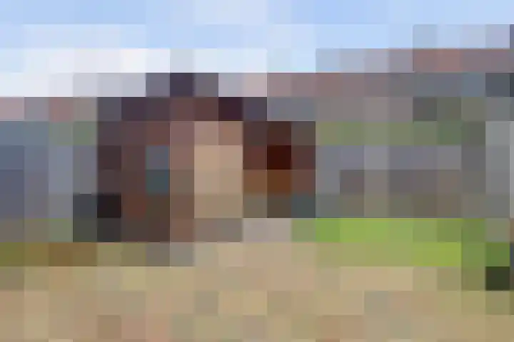Hemonylaan 10 Arnhem thumbnail 26