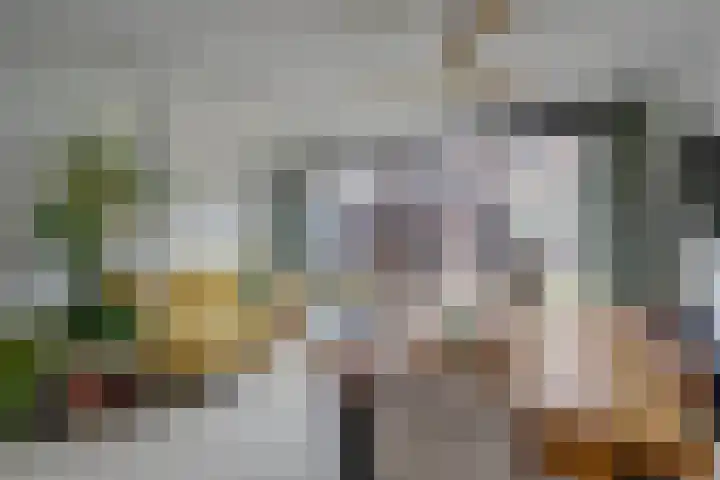 Hemonylaan 10 Arnhem thumbnail 9