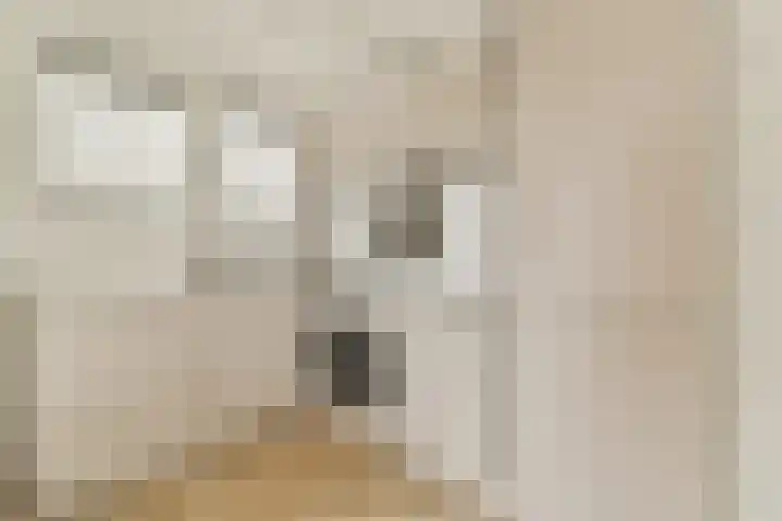 Hemonystraat 17 E Amsterdam thumbnail 5