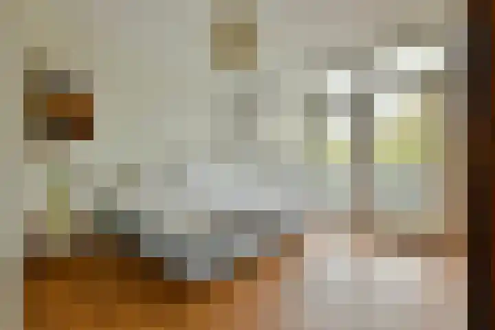 Hemonystraat 24 1 Amsterdam thumbnail 13
