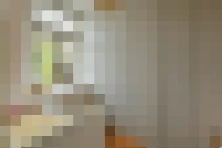 Hemonystraat 24 1 Amsterdam thumbnail 19