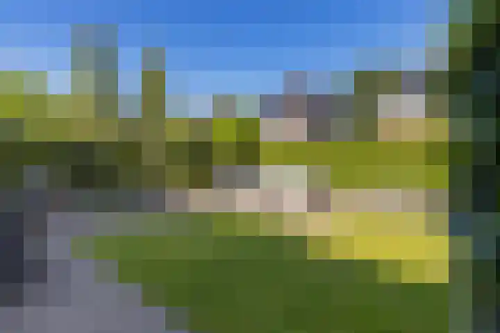 Hemsinge 19 Zuidlaren thumbnail 41