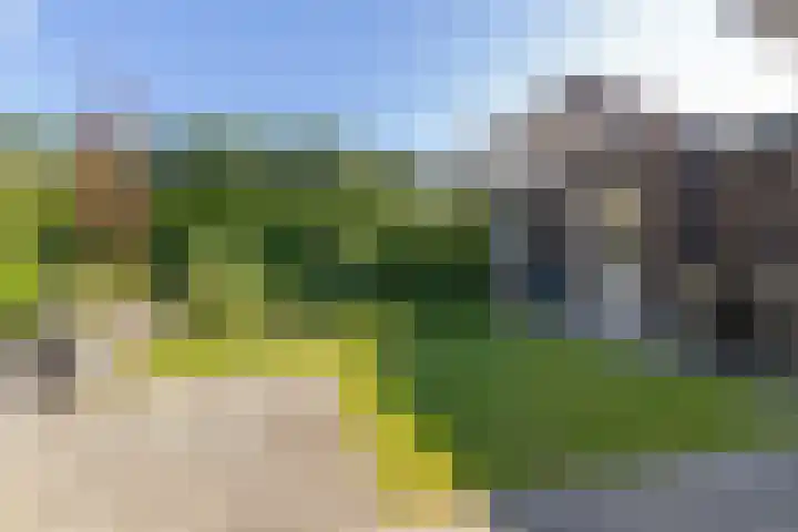 Hemsinge 19 Zuidlaren thumbnail 44
