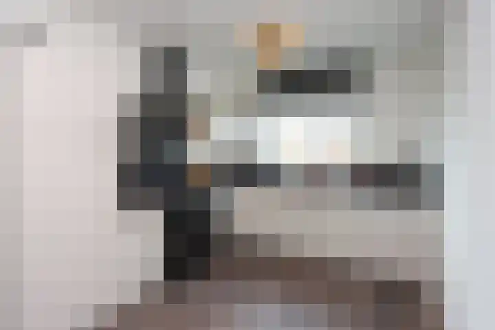 Hemsink 59 Biddinghuizen thumbnail 14