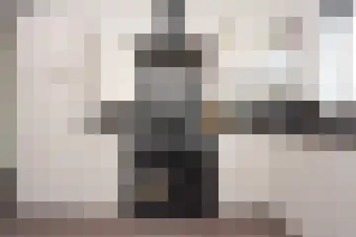 Hemsink 59 Biddinghuizen thumbnail 15