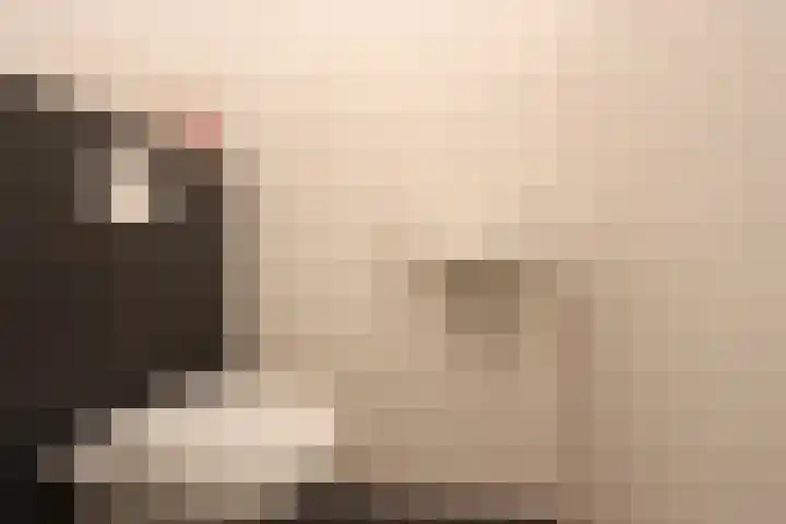 Hemsink 59 Biddinghuizen thumbnail 17