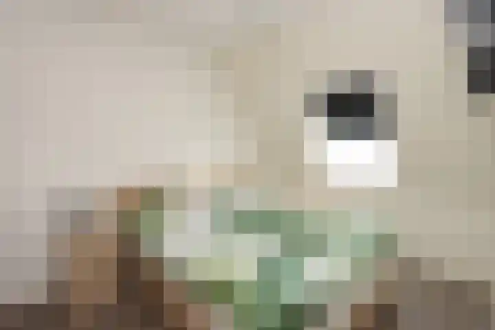 Hemsink 59 Biddinghuizen thumbnail 18