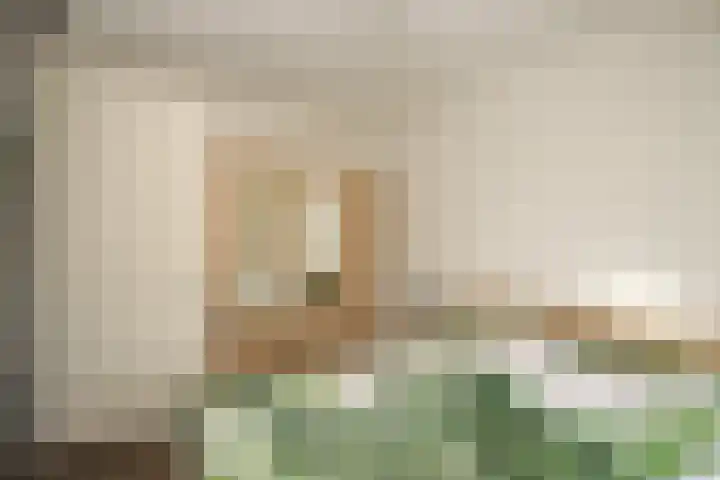 Hemsink 59 Biddinghuizen thumbnail 19