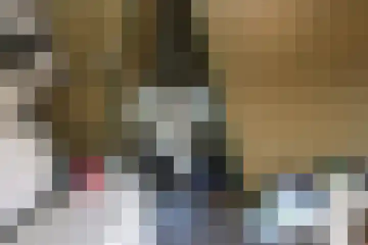 Hemsink 59 Biddinghuizen thumbnail 29