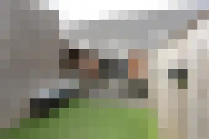 Hemsink 59 Biddinghuizen thumbnail 31