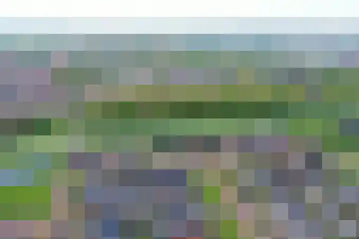 Hemsink 59 Biddinghuizen thumbnail 36