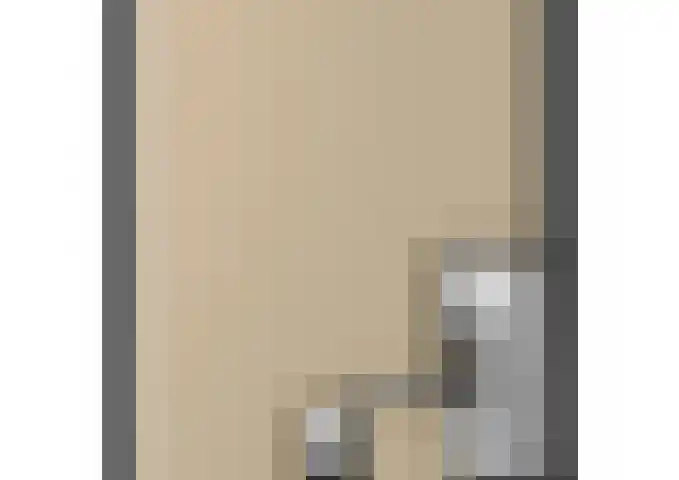 Hemsink 59 Biddinghuizen thumbnail 41