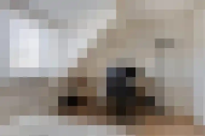 Hemstraat 5 Kloetinge thumbnail 25