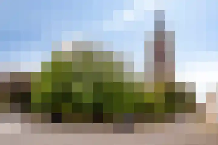 Hemstraat 5 Kloetinge thumbnail 40