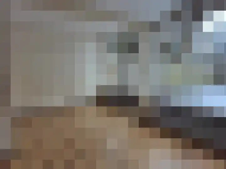 Hendrik Consciencelaan 30 Bladel thumbnail 4