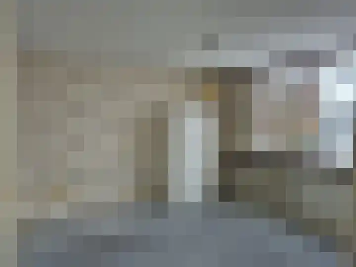 Hendrik Consciencelaan 30 Bladel thumbnail 9