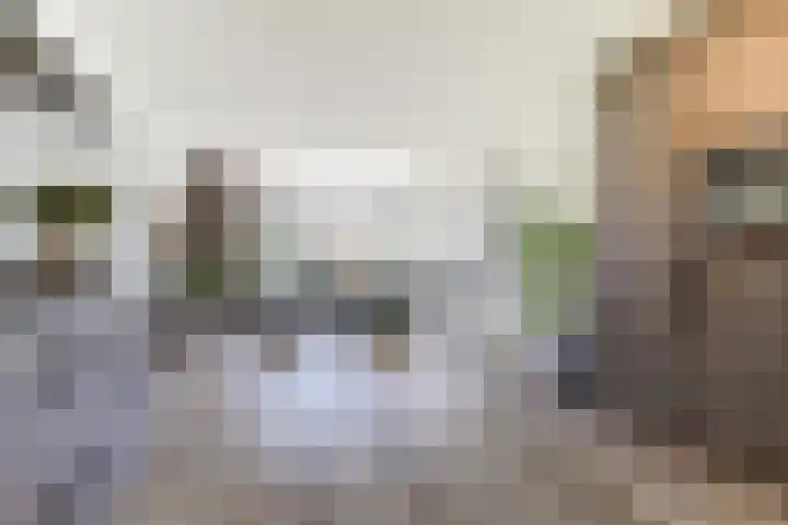 Hendrik Consciencelaan 36 Bladel thumbnail 12